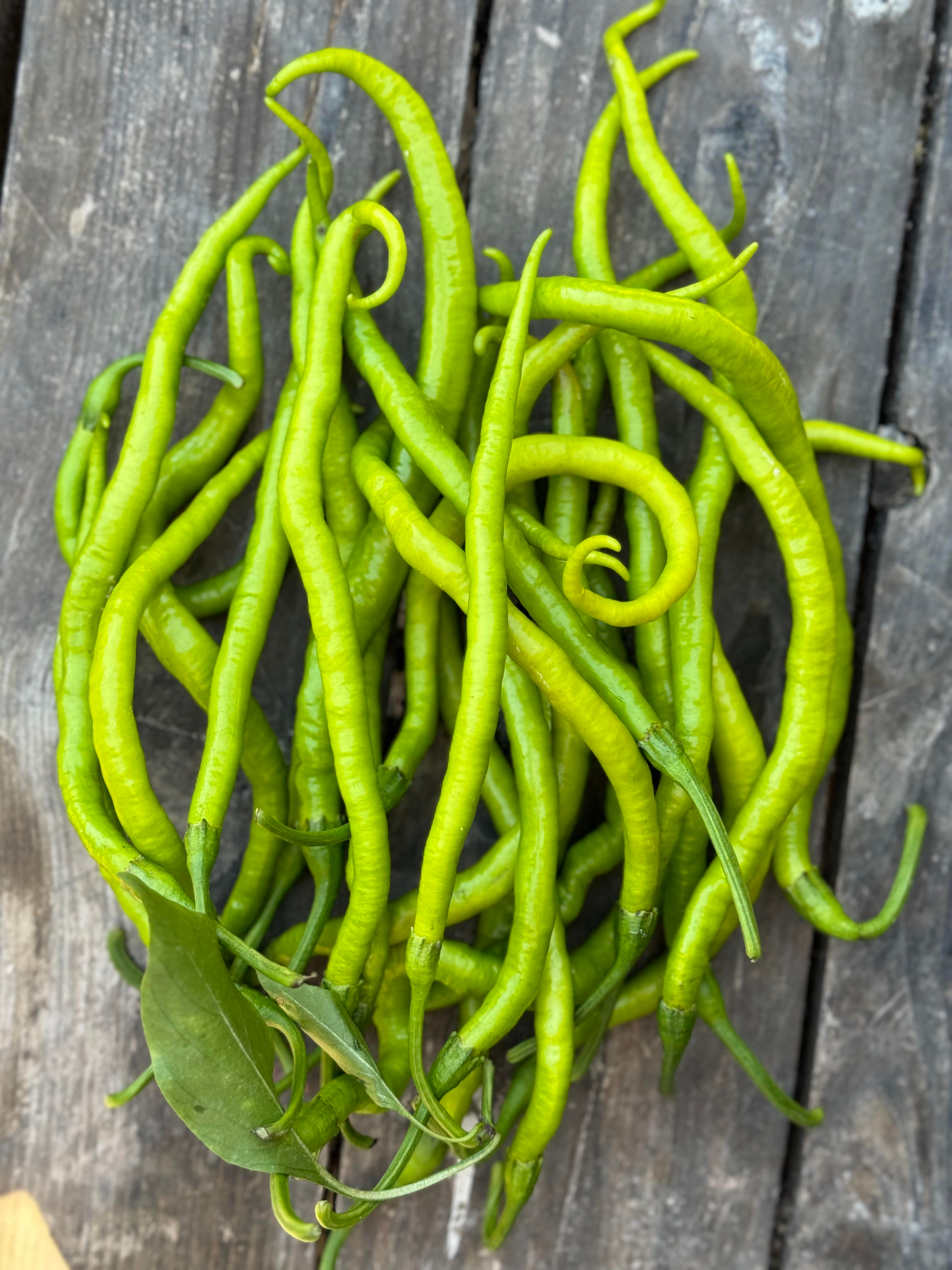 Yerli Tatlı Sivri Biber Tohumu 